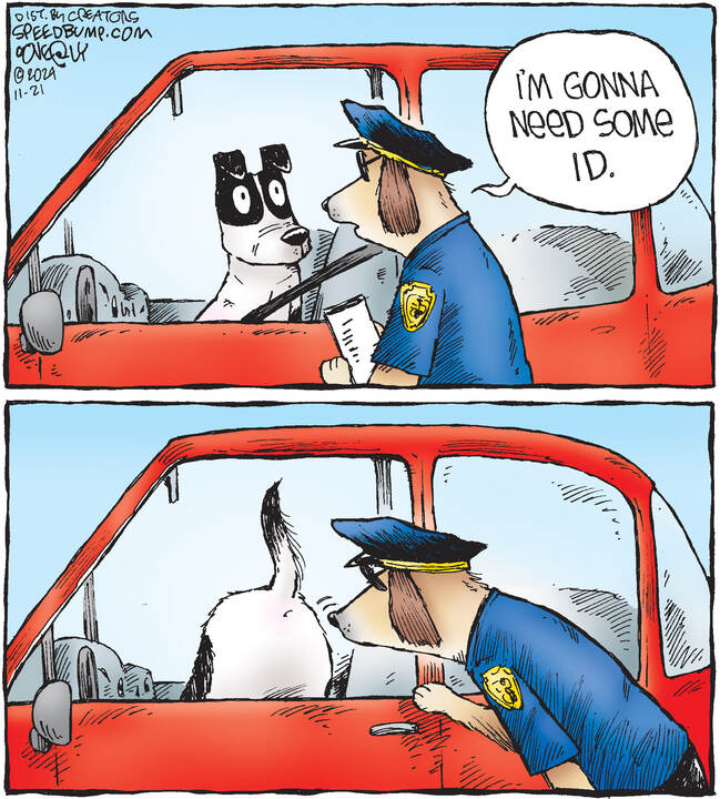 Speed Bump for Nov 21, 2024