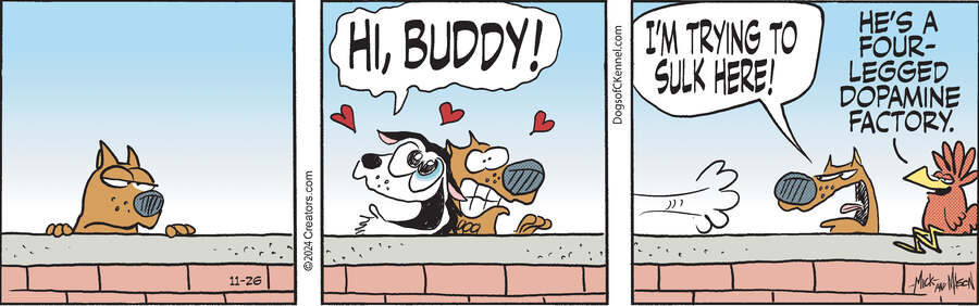 Dogs of C-Kennel for Nov 26, 2024