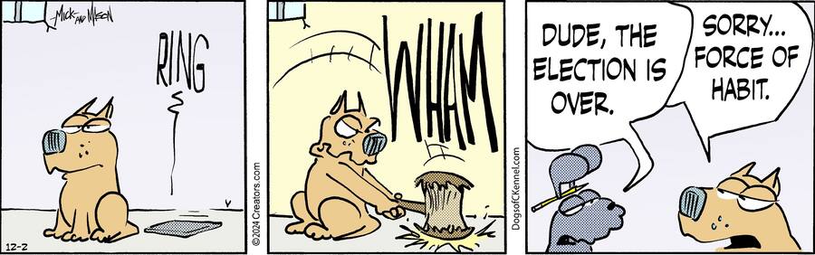 Dogs of C-Kennel for Dec 02, 2024