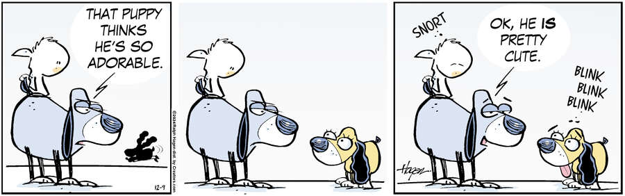 The Barn for Dec 09, 2024