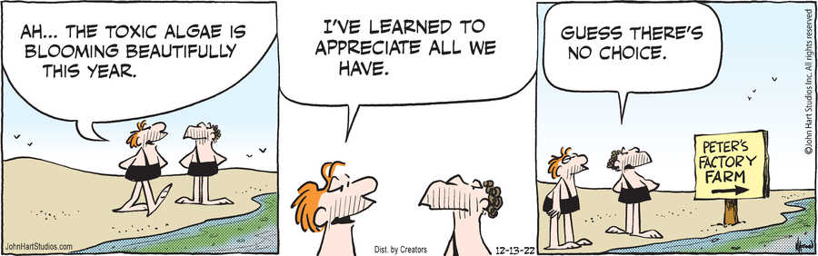 B.C. for Dec 13, 2022