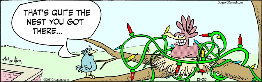 Dogs of C-Kennel for Dec 20, 2024