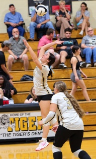 Ethel Lady Tigers season comes to an end