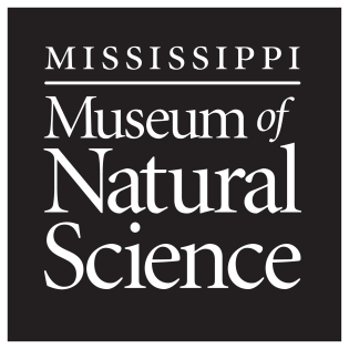 Natural Science Museum to Host 23rd Annual Fossil Road Show