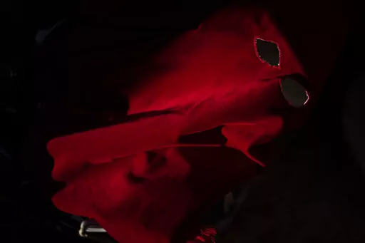 A hood of a penitent from 'Real Cofradia del Santisimo Cristo de las Injurias' also known as 'El Silencio' in Zamora, Spain, Wednesday, April 13, 2022. (AP Photo/Bernat Armangue)