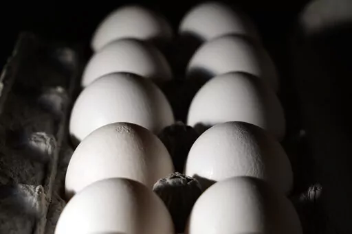 A carton of eggs are seen, Tuesday, July 12, 2022, in Marple Township, Pa. On Friday, Feb. 10, 2023, The Associated Press reported on stories circulating online incorrectly claiming a protein naturally found in egg yolks protects against COVID-19 in humans, which is why there is an egg shortage. (AP Photo/Matt Slocum, File)