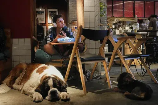 A woman sits in a coffee shop with her dogs in Moscow, Russia, Friday, March 7, 2025. (AP Photo/Pavel Bednyakov)