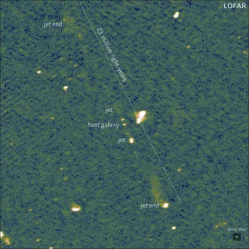 This undated image provided by Caltech, taken by Europe's LOFAR (LOw Frequency ARray) radio telescope, shows the longest known pair of black hole jets, as reported Wednesday, Sept. 18, 2024, in the journal Nature. (LOFAR Collaboration/Martijn Oei/Caltech via AP)