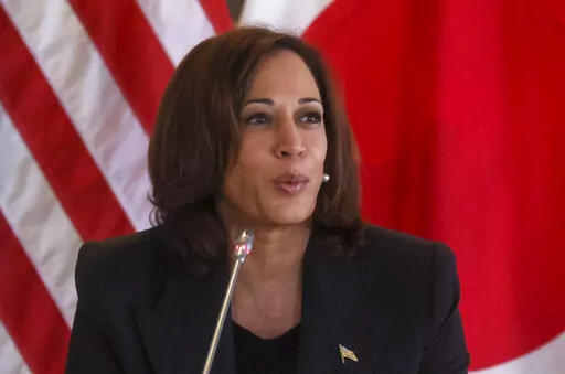 U.S. Vice President Kamala Harris hosts a roundtable discussion with Japanese business executives from companies in the semiconductor industry, at the Chief Mission Residence in Tokyo Wednesday, Sept. 28, 2022. (Leah Millis/Pool Photo via AP)