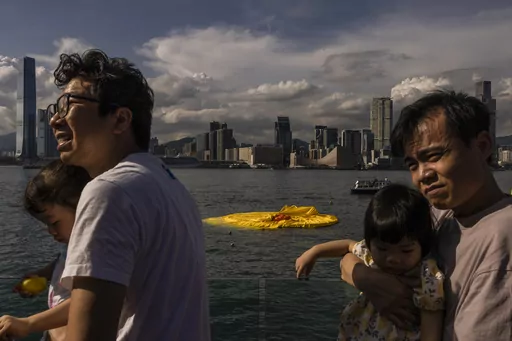 An art installation called "Double Ducks" by Dutch artist Florentijn Hofman as one of the duck is deflated at Victoria Harbour in Hong Kong, Saturday, June 10, 2023. (AP Photo/Louise Delmotte)
