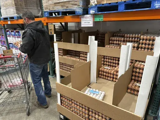 A consumer places a flat of eggs in a shopping cart in a Costco warehouse Tuesday, Feb. 18, 2025, in Sheridan, Colo. (AP Photo/David Zalubowski, File)