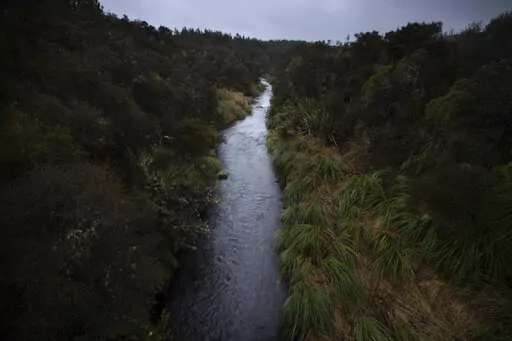 The upper reaches of New Zealand's Whanganui River flow on June 16, 2022. In 2017, New Zealand passed a groundbreaking law granting personhood status to the Whanganui River. The law declares that the river is a living whole, from the mountains to the sea, incorporating all its physical and metaphysical elements. (AP Photo/Brett Phibbs)