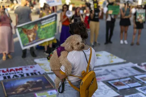 A passersby holds her pet dog as she looks at pro animal rights activist shout slogans during a protest in Istanbul, Turkey, June 27, 2024. (AP Photo/Francisco Seco, file)