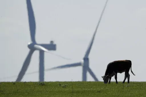 A cow grazes in a pasture as wind turbines rise in the distance, April 27, 2020, near Reading, Kan. The climate deal reached by Senate Democrats could reduce the amount of greenhouse gases that American farmers produce by expanding programs that help sequester carbon in soil, fund climate-focused research and lower the abundant methane emissions that come from cows. (AP Photo/Charlie Riedel, File)