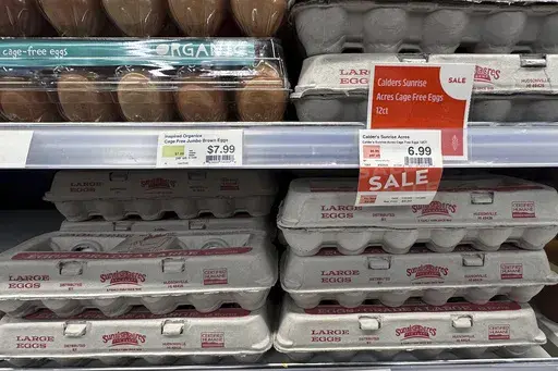 Egg cartons for sale are displayed at a grocery store, Friday, Feb. 7, 2025 in Grosse Pointe, Mich. (AP Photo/Paul Sancya)
